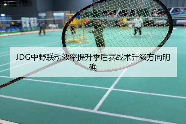 JDG中野联动效率提升季后赛战术升级方向明确