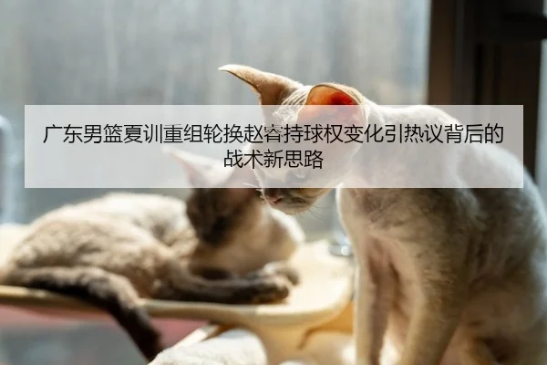 广东男篮夏训重组轮换赵睿持球权变化引热议背后的战术新思路
