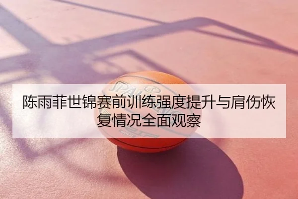 陈雨菲世锦赛前训练强度提升与肩伤恢复情况全面观察
