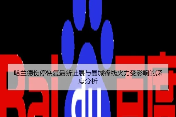 哈兰德伤停恢复最新进展与曼城锋线火力受影响的深度分析